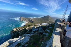 Kapstadt: Tafelberg, Pinguine, Kap der Guten Hoffnung