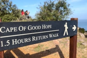 Kapstadt: Tafelberg, Pinguine, Kap der Guten Hoffnung