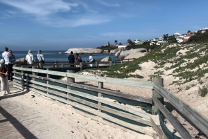 Kapstadt: Tafelberg, Pinguine, Kap der Guten Hoffnung