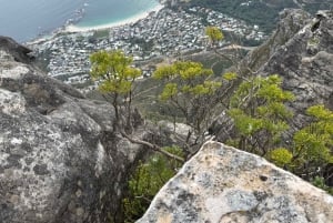 Kapstadt: Tafelberg, Pinguine, Kap der Guten Hoffnung