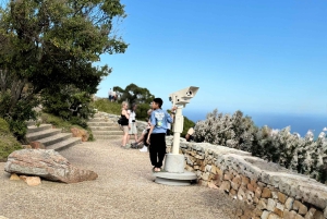 Kapstadt: Tafelberg, Pinguine, Kap der Guten Hoffnung