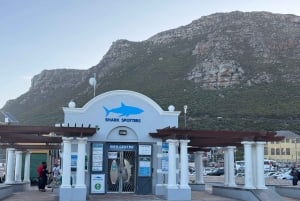 Kapstadt: Tafelberg, Pinguine, Kap der Guten Hoffnung