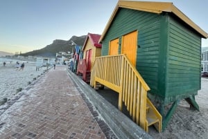 Kapstadt: Tafelberg, Pinguine, Kap der Guten Hoffnung