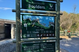 Kapstadt: Tafelberg, Pinguine, Kap der Guten Hoffnung