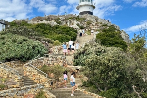 Le Cap : Montagne de la Table, pingouins, Cap de Bonne Espérance