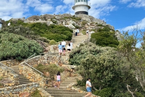 Le Cap : Montagne de la Table, pingouins, Cap de Bonne Espérance