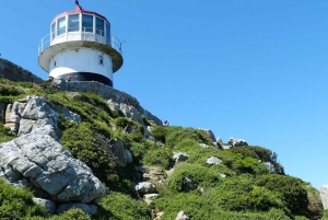 Le Cap : Montagne de la Table, pingouins, Cap de Bonne Espérance