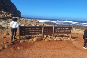 Le Cap : Montagne de la Table, pingouins, Cap de Bonne Espérance