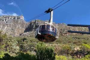 Le Cap : Montagne de la Table, pingouins, Cap de Bonne Espérance