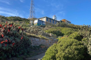 Le Cap : Montagne de la Table, pingouins, Cap de Bonne Espérance