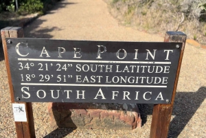 Le Cap : Montagne de la Table, pingouins, Cap de Bonne Espérance