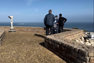 Le Cap : Montagne de la Table, pingouins, Cap de Bonne Espérance