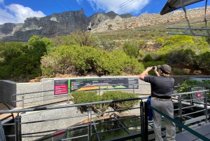 Le Cap : Montagne de la Table, pingouins, Cap de Bonne Espérance