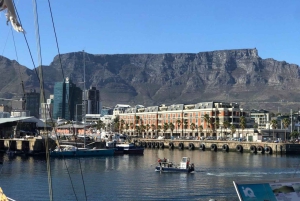 Le Cap : Montagne de la Table, pingouins, Cap de Bonne Espérance