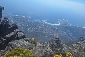 Le Cap : Montagne de la Table, pingouins, Cap de Bonne Espérance