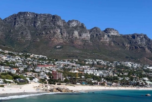 Le Cap : Montagne de la Table, pingouins, Cap de Bonne Espérance