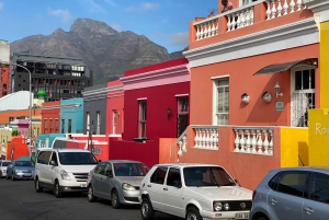 Le Cap : Montagne de la Table, pingouins, Cap de Bonne Espérance