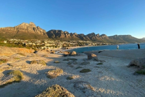 Le Cap : Montagne de la Table, pingouins, Cap de Bonne Espérance