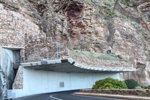 Le Cap : Montagne de la Table, pingouins, Cap de Bonne Espérance