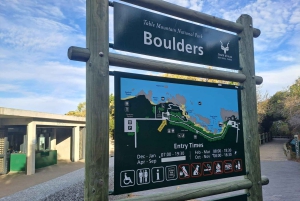 Le Cap : Montagne de la Table, pingouins, Cap de Bonne Espérance