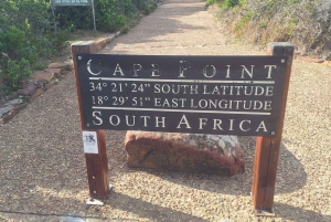 Le Cap : Montagne de la Table, pingouins, Cap de Bonne Espérance