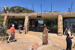 Le Cap : Montagne de la Table, pingouins, Cap de Bonne Espérance