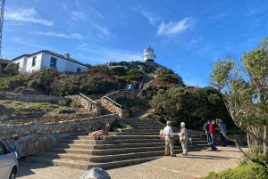 Le Cap : Montagne de la Table, pingouins, Cap de Bonne Espérance