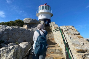 Le Cap : Montagne de la Table, pingouins, Cap de Bonne Espérance