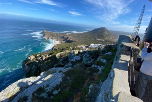 Le Cap : Montagne de la Table, pingouins, Cap de Bonne Espérance