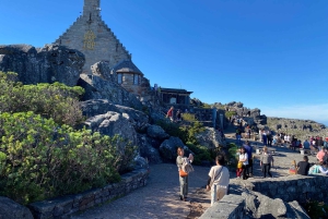 Le Cap : Montagne de la Table, pingouins, Cap de Bonne Espérance