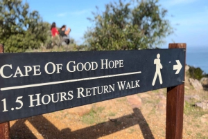 Le Cap : Montagne de la Table, pingouins, Cap de Bonne Espérance