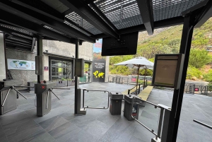 Le Cap : Montagne de la Table, pingouins, Cap de Bonne Espérance