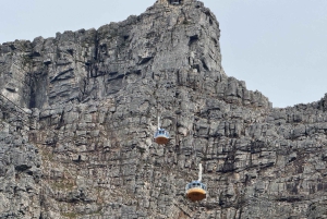 Le Cap : Montagne de la Table, pingouins, Cap de Bonne Espérance