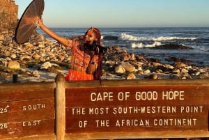 Cape Town Table Mountain Penguins e Cape Point All-inclusive