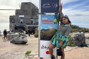 Cape Town Table Mountain Penguins e Cape Point All-inclusive