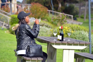 Cape Town Table Mountain Penguins e Cape Point All-inclusive