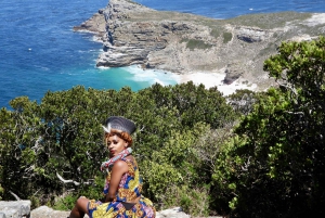 Cape Town Table Mountain Penguins e Cape Point All-inclusive