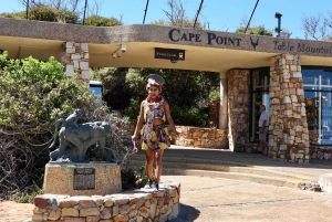 Kaapstad Tafelbergpinguïns en Cape Point All-inclusive