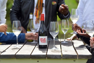 Cape Town Table Mountain Penguins e Cape Point All-inclusive