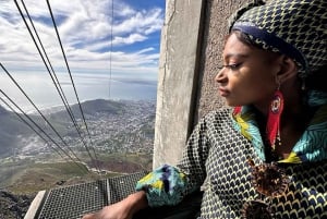 Cape Town Table Mountain Penguins e Cape Point All-inclusive