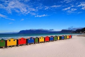 Cape Town Góra Stołowa Pingwiny i Cape Point All inclusive
