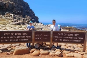 Kapkaupunki Pöytävuoren pingviinit & Cape Point All-inclusive -matka Kapkaupunkiin