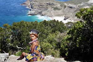 Ciudad del Cabo Pingüinos de la Montaña de la Mesa y Cape Point Todo incluido