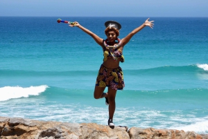 Ciudad del Cabo Pingüinos de la Montaña de la Mesa y Cape Point Todo incluido