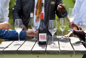 Ciudad del Cabo Pingüinos de la Montaña de la Mesa y Cape Point Todo incluido