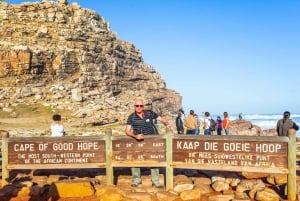Kapstaden: Gruppresa till Taffelberget, Pingvinerna och Kapspetsen
