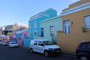 Kapkaupunki: Pöytävuori, pingviinit ja Cape Point -ryhmäretki