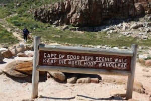 Ciudad del Cabo: Excursión en Grupo a la Montaña de la Mesa, Pingüinos y Punta del Cabo