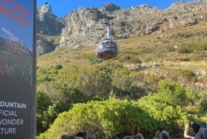 Città del Capo: Tour di gruppo di Table Mountain, Pinguini e Cape Point
