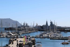 Кейптаун: групповой тур Столовая гора, пингвины и Кейп-Пойнт